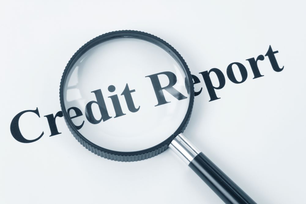 How Often Is New Information Submitted to Your Credit Report?
